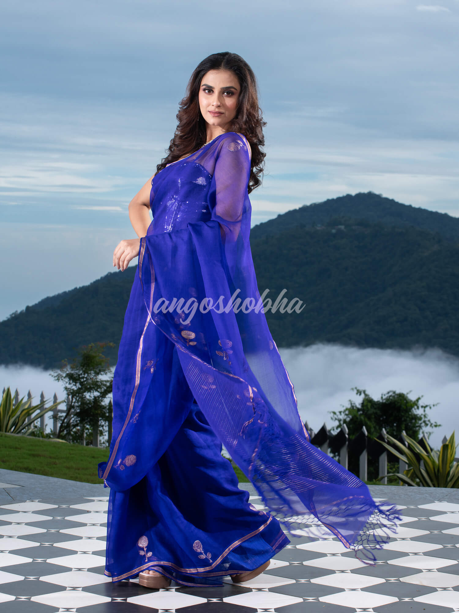 Traditional Blue Muslin Silk Zari Work Handloom Saree